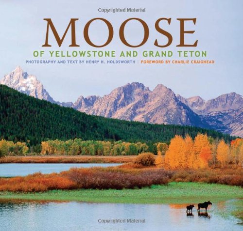 Beispielbild fr Moose of Yellowstone and Grand Teton zum Verkauf von Books From California