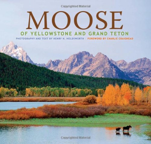 Imagen de archivo de Moose of Yellowstone and Grand Teton a la venta por Books From California