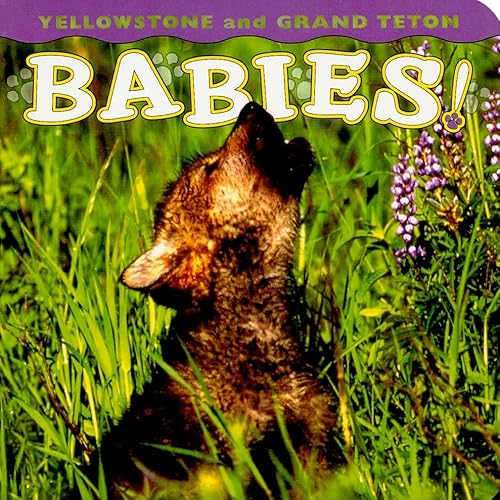 Beispielbild fr Yellowstone and Grand Teton Babies! (Babies! Animal) zum Verkauf von Wonder Book