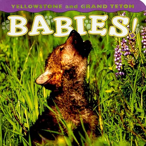 9781560374978: Yellowstone and Grand Teton Babies! (Babies! Animal)