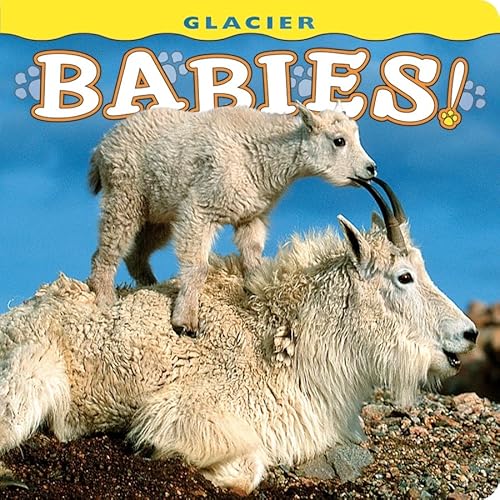 Stock image for Glacier Babies Babies Farcount for sale by SecondSale