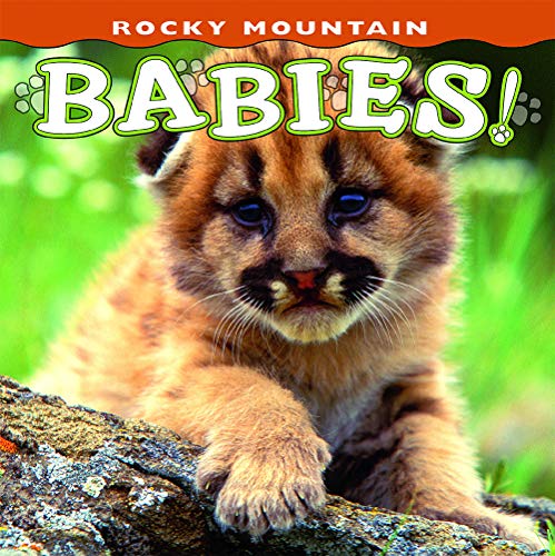 Beispielbild fr Rocky Mountain Babies! (Babies! Animal) zum Verkauf von SecondSale