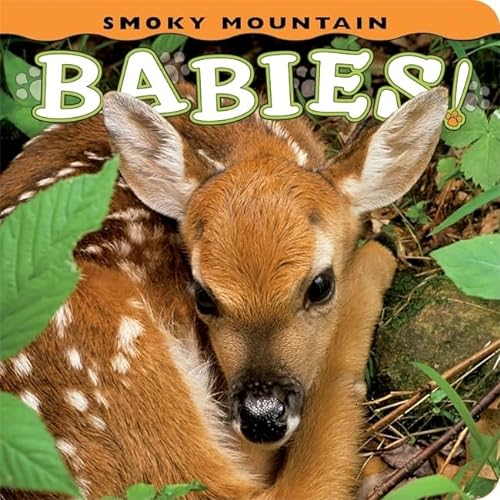 9781560375067: Smoky Mountain Babies! (Babies! Animal)