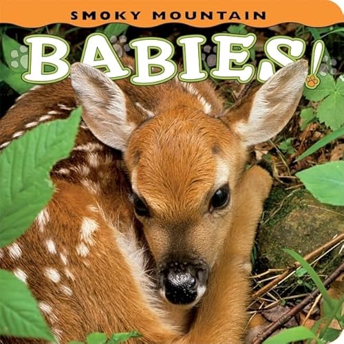9781560375067: Smoky Mountain Babies! (Babies! (Farcountry Press))