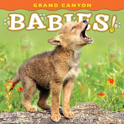 9781560375074: Grand Canyon Babies! (Babies! Animal)