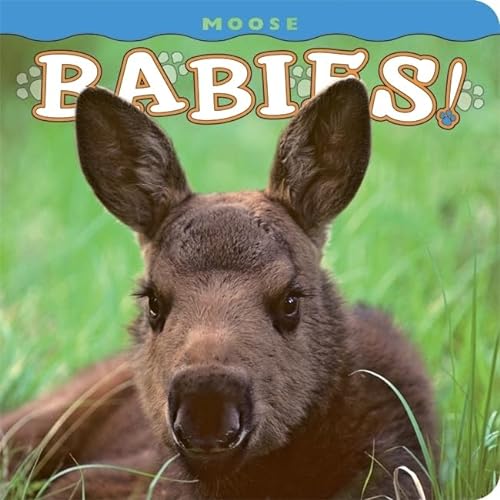 9781560375081: Moose Babies! (Babies! (Farcountry Press))