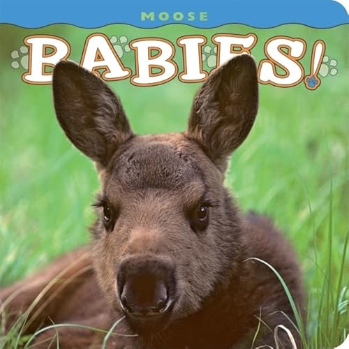 Imagen de archivo de Moose Babies! (Babies! (Farcountry Press)) a la venta por Your Online Bookstore