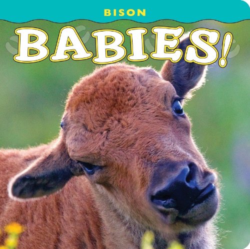Stock image for Bison Babies! for sale by Orion Tech