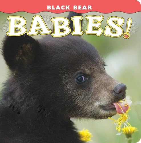 9781560375180: Black Bear Babies! (Babies! (Farcountry Press))
