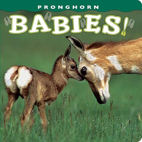 Imagen de archivo de Pronghorn Babies! (Babies! (Farcountry Press)) a la venta por Your Online Bookstore