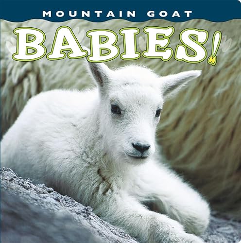 9781560375449: Mountain Goat Babies! (Babies! (Farcountry Press))