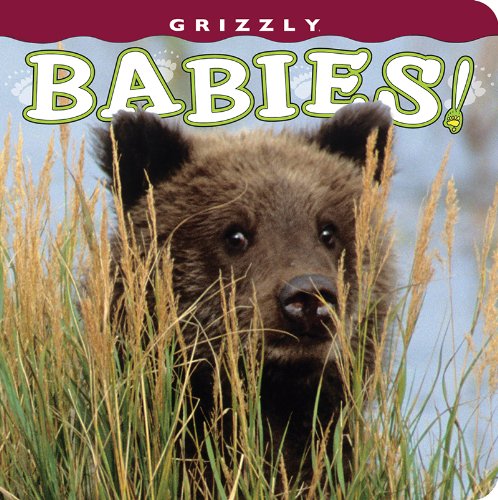 9781560375463: Grizzly Babies! (Babies! (Farcountry Press))