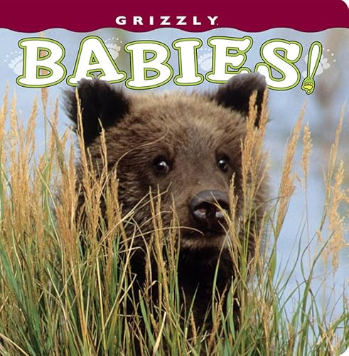 Stock image for Grizzly Babies for sale by Better World Books