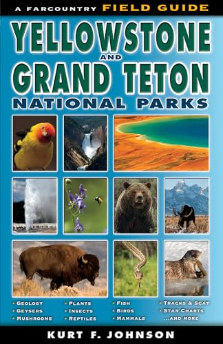 Stock image for The Field Guide to Yellowstone and Grand Teton National Parks for sale by ThriftBooks-Dallas