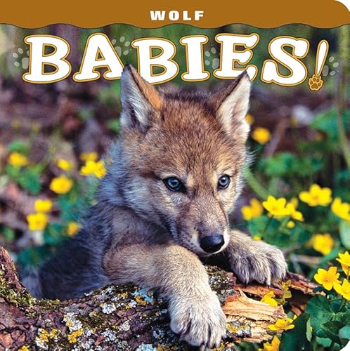 Stock image for Wolf Babies! for sale by SecondSale