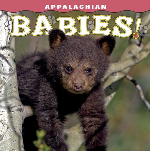 9781560376132: Appalachian Babies!