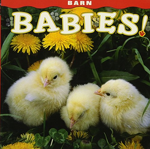 Stock image for Barn Babies! for sale by Once Upon A Time Books