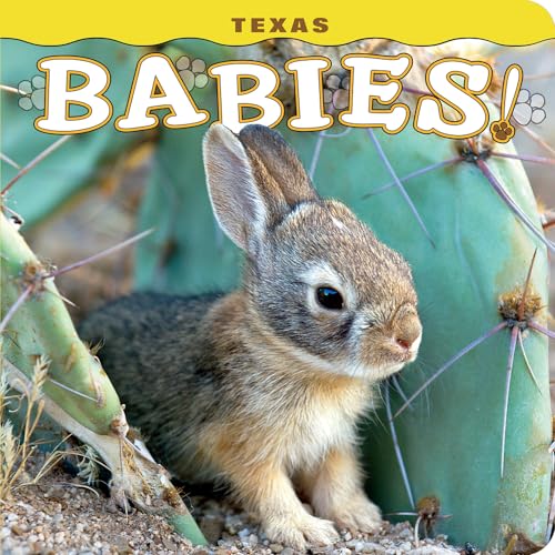 Stock image for Texas Babies! for sale by SecondSale