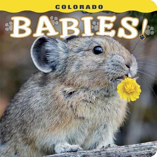 Beispielbild fr Colorado Babies! zum Verkauf von Wonder Book