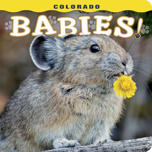 Stock image for Colorado Babies! for sale by SecondSale