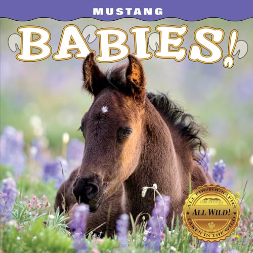Stock image for Mustang Babies! (Babies! (Farcountry Press)) for sale by Seattle Goodwill