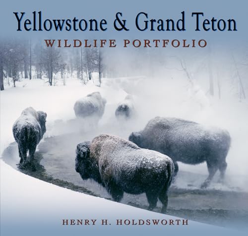 Imagen de archivo de Yellowstone & Grand Teton Wildlife Portfolio a la venta por BooksRun