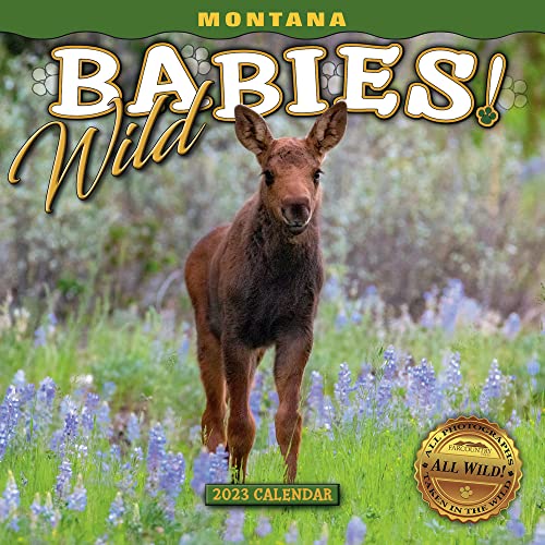 Stock image for 2023 Montana Wild Babies! Mini Calendar for sale by Revaluation Books