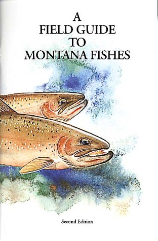 Stock image for Field Guide to Montana Fishes for sale by Isle of Books