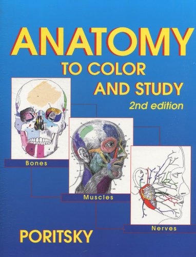 Stock image for Anatomy to Color and Study for sale by HPB-Red