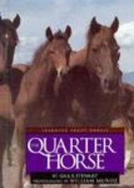 Imagen de archivo de The Quarter Horse a la venta por Better World Books