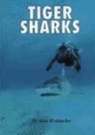 Beispielbild fr Tiger Sharks zum Verkauf von Better World Books