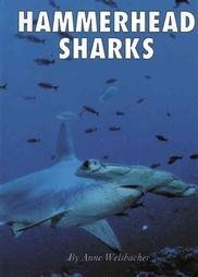 Beispielbild fr Hammerhead Sharks zum Verkauf von Idaho Youth Ranch Books