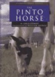 Imagen de archivo de The Pinto Horse (Learning About Horses) a la venta por Ergodebooks