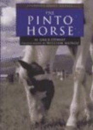 Stock image for The Pinto Horse for sale by Better World Books