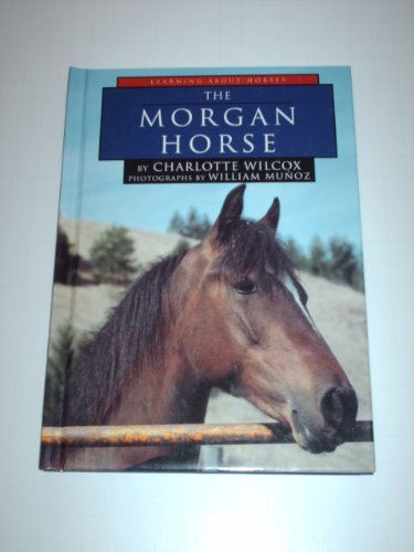Beispielbild fr The Morgan Horse zum Verkauf von ThriftBooks-Dallas