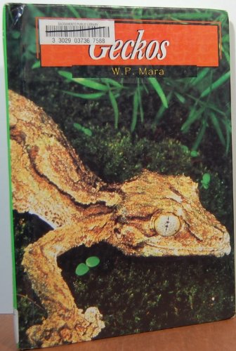 Beispielbild fr Geckos zum Verkauf von Better World Books