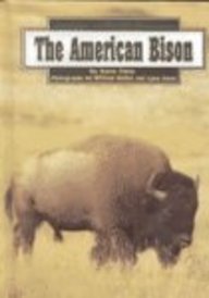 Stock image for The American Bison for sale by ThriftBooks-Atlanta