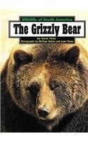 Imagen de archivo de The Grizzly Bear (Wildlife of North America) a la venta por Front Cover Books