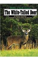 9781560654704: The White-Tailed Deer (Wildlife of North America)