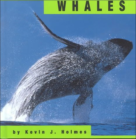 9781560656012: Whales (Animals)