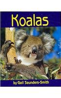 Stock image for Koalas for sale by Decluttr