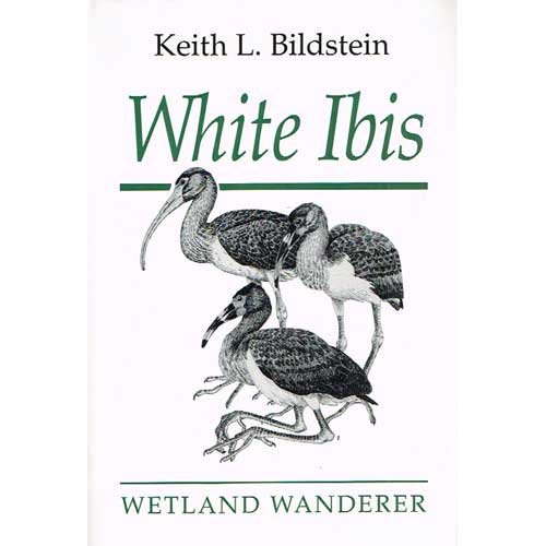 Beispielbild fr White Ibis: Wetland Wanderer zum Verkauf von Don's Book Store