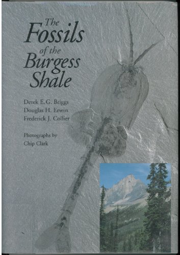 Beispielbild fr The Fossils of the Burgess Shale zum Verkauf von Goodwill of Colorado