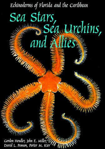 9781560984504: Sea Stars, Sea Urchins, and Allies: Echinoderms of Florida and the Caribbean