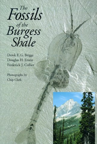 Imagen de archivo de The Fossils of the Burgess Shale a la venta por BooksRun