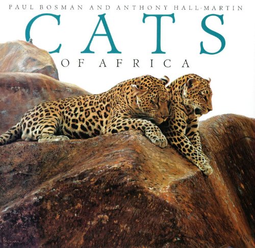 9781560987604: Cats of Africa