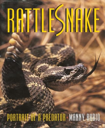 Beispielbild fr Rattlesnake : Portrait of a Predator zum Verkauf von Better World Books: West