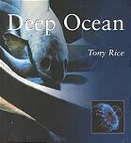 Beispielbild fr Deep Ocean zum Verkauf von N. Fagin Books