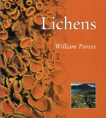 Stock image for Lichens: Lichens for sale by ThriftBooks-Atlanta