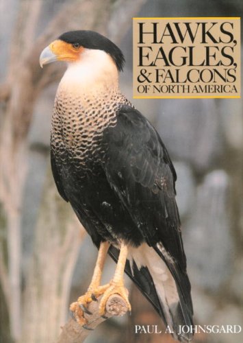 9781560989462: Hawks, Eagles and Falcons of North America: Biology and Natural History